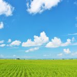 北海道の農業の特徴と主要な農作物について解説します！