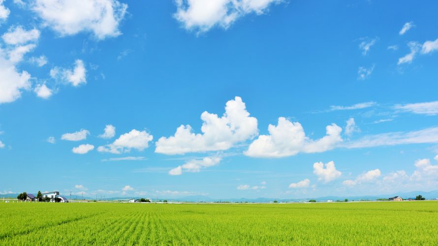 北海道の農業の特徴と主要な農作物について解説します！